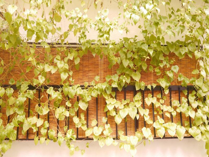 Serendipity At Kioto Exterior foto